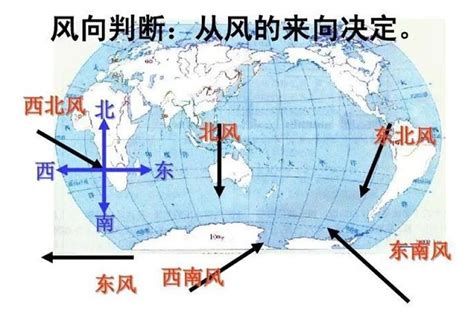 西胡籚是什麼